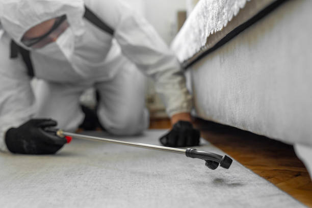 Professional Bed Bug Control technician working in Nescopeck, PA