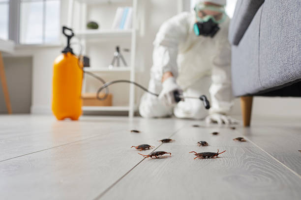 Trusted Fumigation Services service in Nescopeck, PA - Nex Pest Control