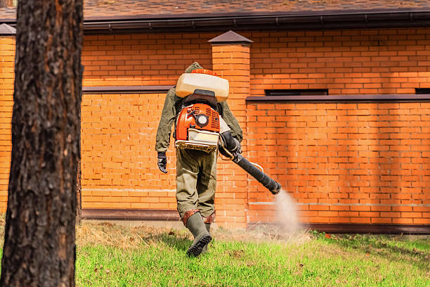 Trusted Termite Control service in Nescopeck, PA - Nex Pest Control